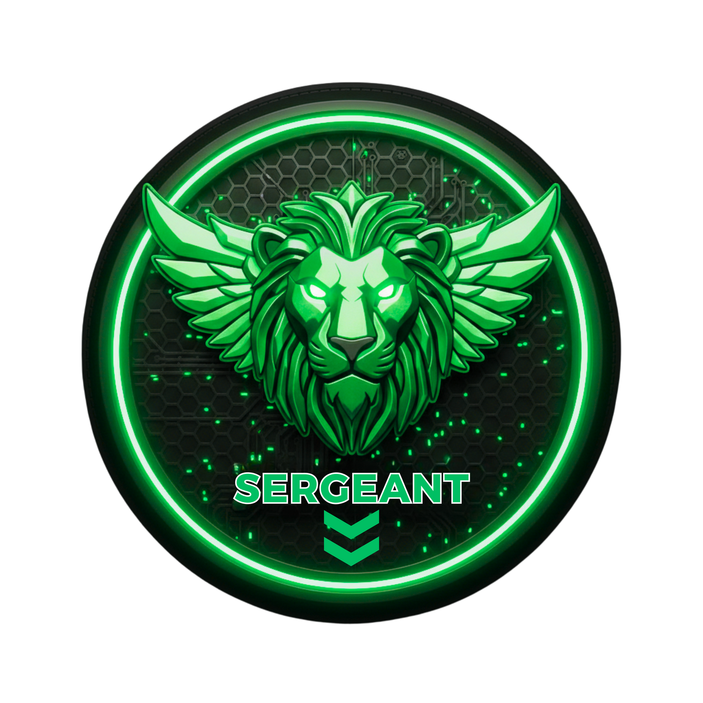 MISSION ASSET: AST SERGEANT BADGE