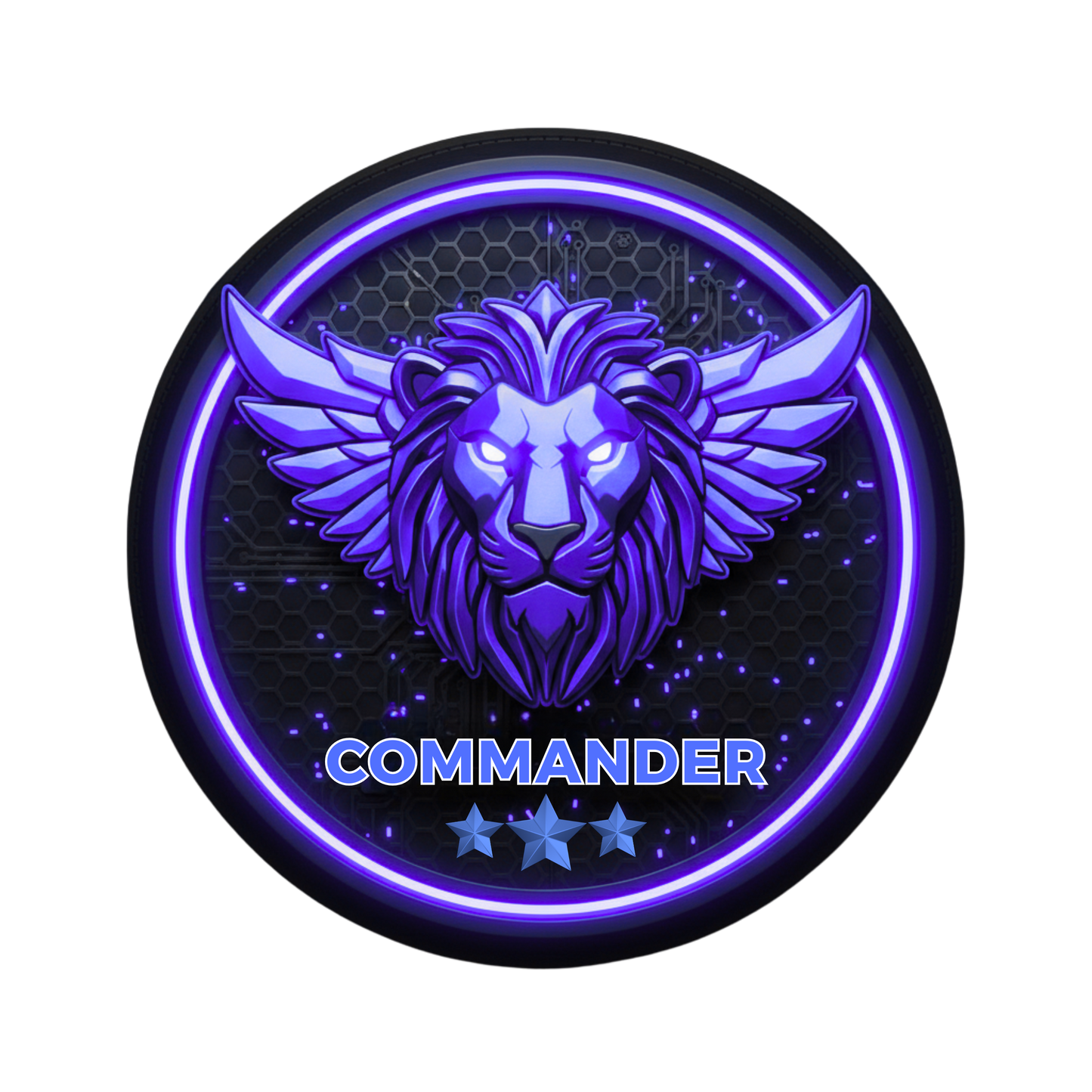 MISSION ASSET: AST COMMANDER BADGE