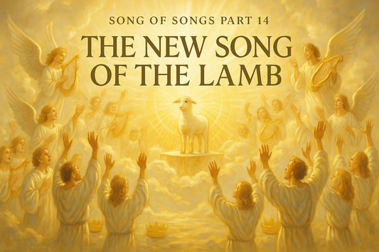 The New Song Of The Lamb blog header representing Song of Songs Part 14 about heavenly worship and eternal praise