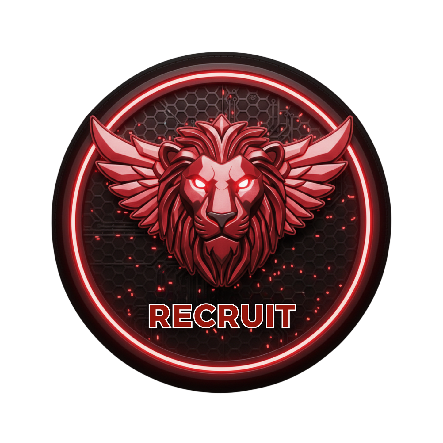 MISSION ASSET: AST RECRUIT BADGE